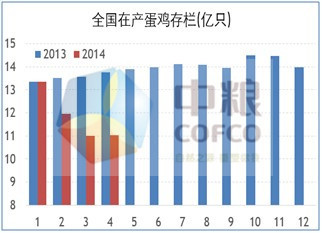 圖示1：國內在產蛋雞存欄及養殖利潤(來源：芝華數據、中糧期貨投資咨詢部數據庫系統)