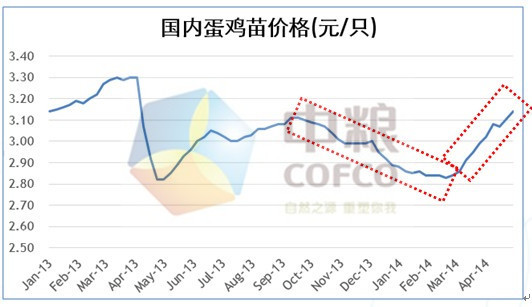 圖示2：國內蛋雞苗價格(來源：中糧期貨投資咨詢部數據庫系統)