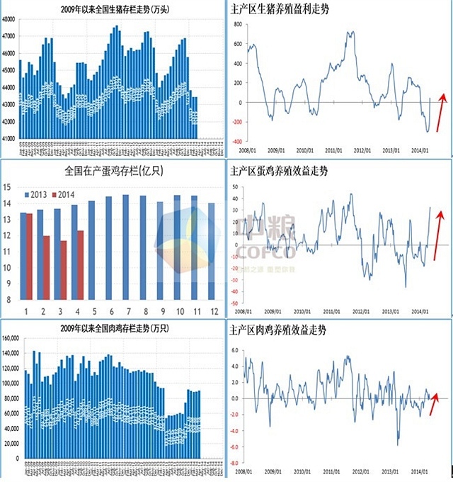 檢視更多精彩圖片