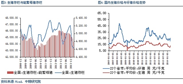 檢視更多精彩圖片