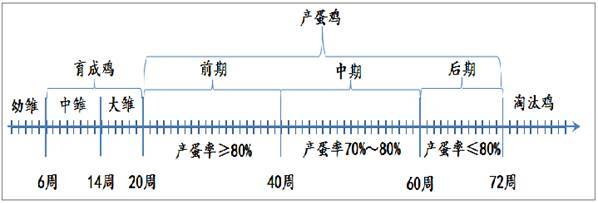 資料來源：大商所；方正中期研究院整理