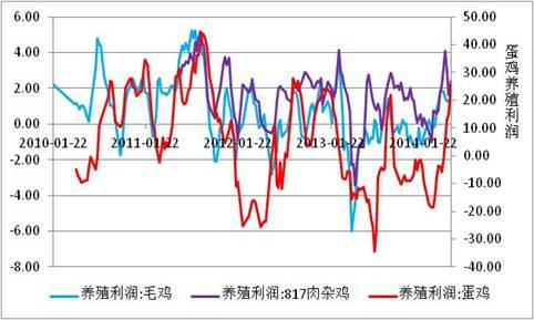 雞蛋中期強勢不改  短期有調整需求