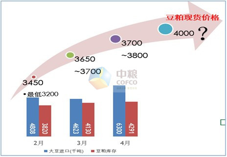 圖示5：豆粕庫存不斷走高為何豆粕價格仍走高？(來源：中糧期貨投資咨詢部數據庫系統)