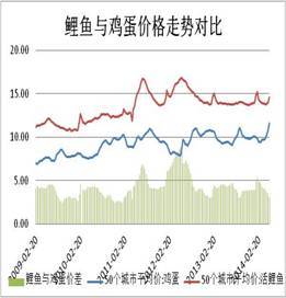 【王曉囡(飼料養殖組)】雞蛋淡季 期價調整幅度或加大
