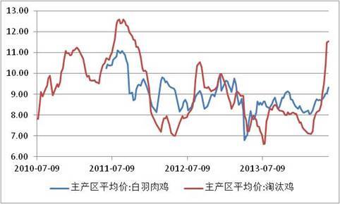 【王曉囡(飼料養殖組)】雞蛋淡季 期價調整幅度或加大
