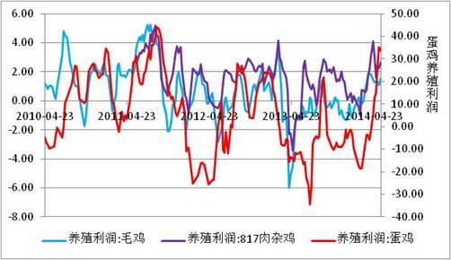 【王曉囡(飼料養殖組)】雞蛋淡季 期價調整幅度或加大