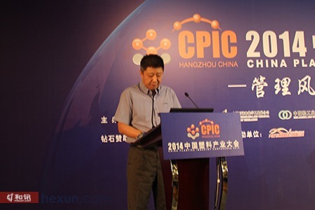 中國輕工業聯合會副秘書長才大穎