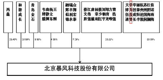 公司股權結構圖