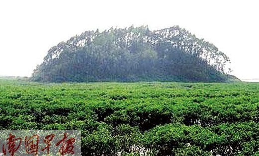 　　廣西無居民海島使用權出讓最低單價14元