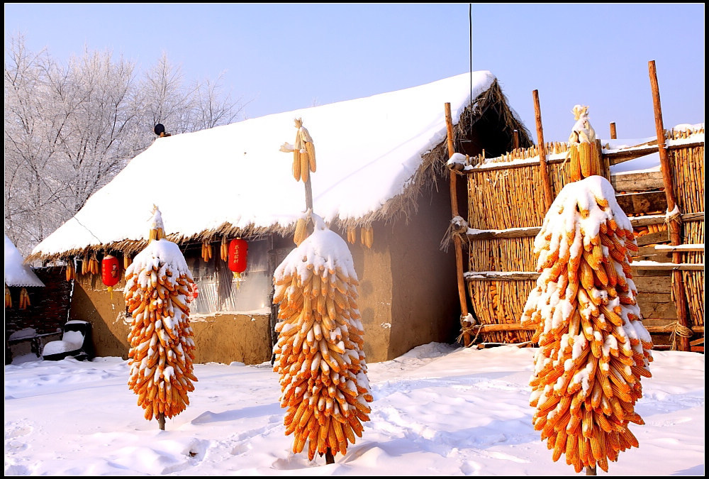 所謂“區域性塌陷”，是指在一定的區域內，由於區域性的產業結構問題、經濟實力問題、政府負債問題或者金融市場動盪等多種原因，導致區域經濟增長顯著放緩、經濟活力顯著降低的現象