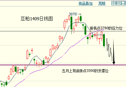 肖雷：雙粕開始走弱