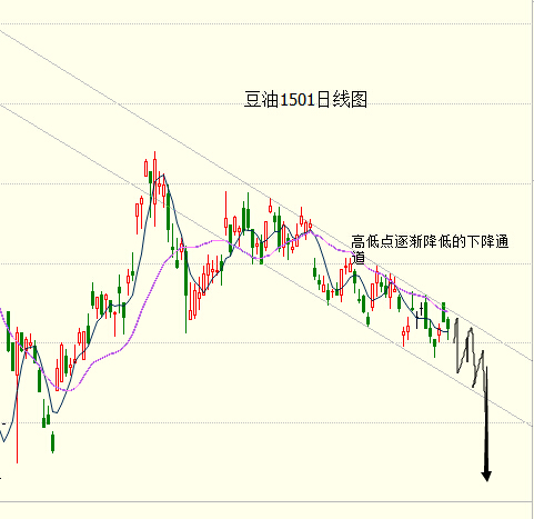 肖雷：雙粕開始走弱