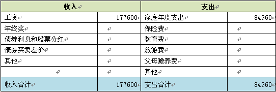 家庭年度收支表