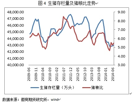 【伍正興(飼料養殖組)】進口大豆到港量偏少 豆粕存階段性反彈機會
