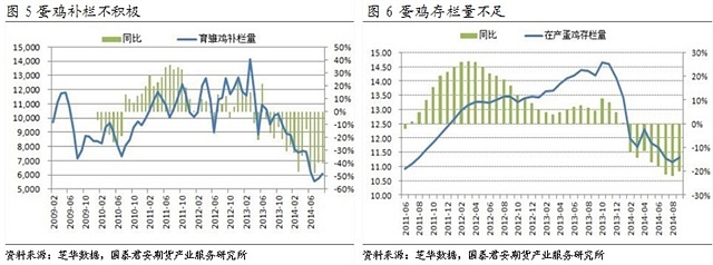 【劉佳偉(飼料養殖組)】供應仍偏緊 雞蛋看漲預期漸濃 