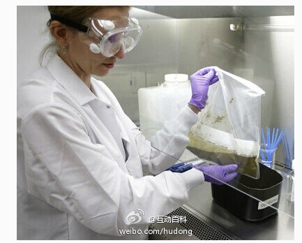 美國建“糞便銀行” 捐獻者健康糞便40美元一磅