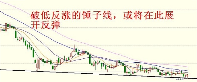 7月3日操作建議