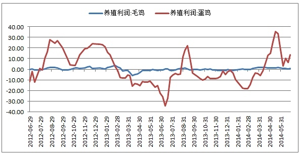 【畢晨飛(飼料養殖組)】雞蛋回調堅定做多 