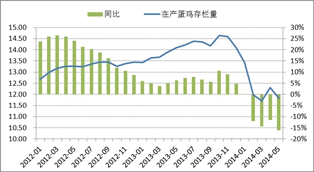 【畢晨飛(飼料養殖組)】雞蛋回調堅定做多 