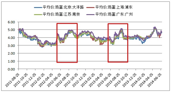 【畢晨飛(飼料養殖組)】雞蛋回調堅定做多 