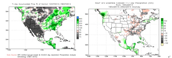 【郁春雷(油脂油料組)】美豆上市壓力逐步增大 油粕價格仍有下行風險