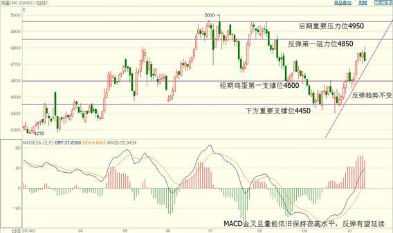 【蘇新華(飼料養殖組)】基本面偏多 雞蛋后期仍有反彈空間 