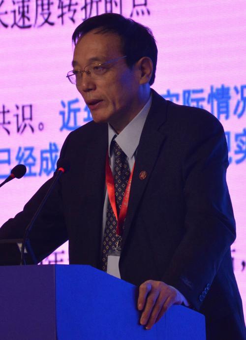 國務院發展研究中心副主任劉世錦