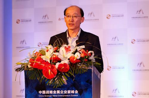 中國五礦化工進出口商會會長 陳鋒 