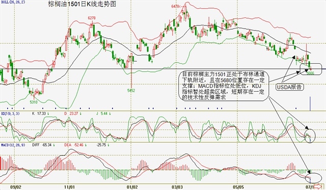 圖8：棕櫚1501日k線走勢圖 （來源：文華財經）