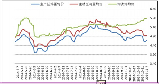【王娜(飼料養殖組)】供需關係持續改善 雞蛋期價繼續下跌