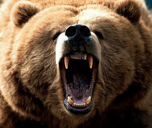 美股一年內恐遇熊市向下修正20％。（圖：網路）