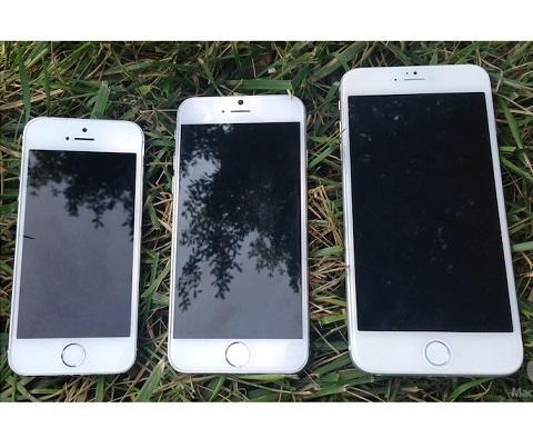 iPhone 5S和4.7、5.5 吋兩種尺寸iPhone 6的假想比較。（圖：MacRumors）