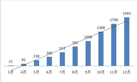 圖二：2010年團購平臺月度凈增數量