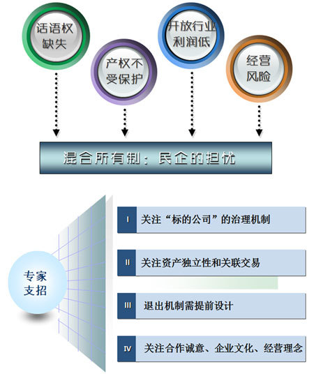 專家為民企參與混合所有制改革支招