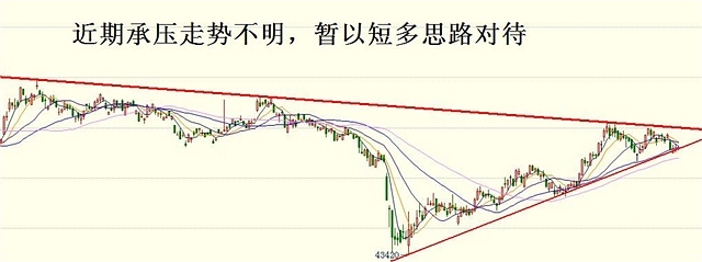 負是非：8月11日操作建議 