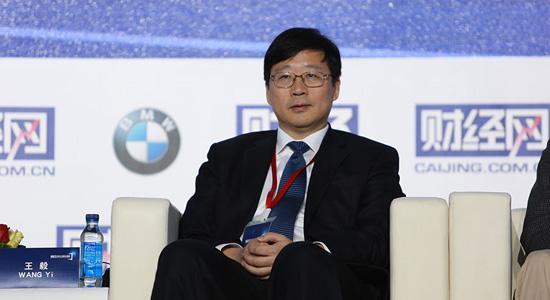 王毅-中國科學院科技政策與管理科學研究所所長