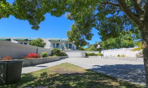 北京乞丐手拿iphone6 美國乞丐富足生活大揭秘