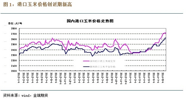 玉米旱情得到緩解，新作玉米即將上市