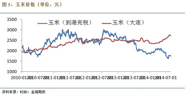 玉米旱情得到緩解，新作玉米即將上市