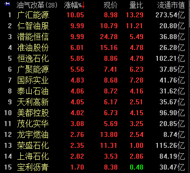 油氣改革概念股截圖