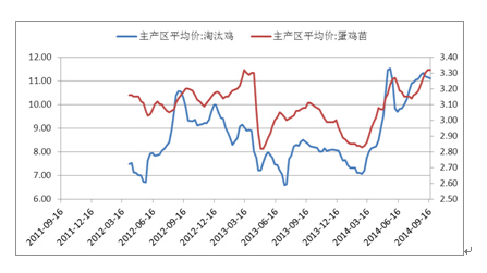 截止到12月19日當周，主產區淘汰雞平均價為11.30元/公斤，周比下跌0.15元/公斤。蛋價出現下跌，養殖利潤大幅縮水，養殖戶加速老雞淘汰。