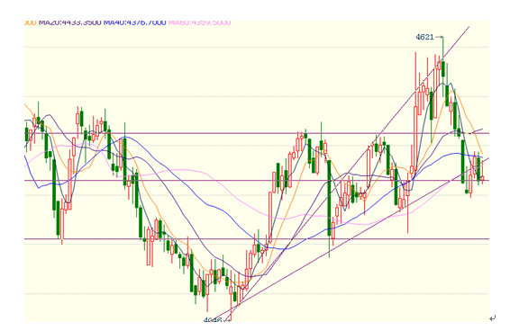【強起凌(飼料養殖組)】雞蛋入冬 高處不勝寒
