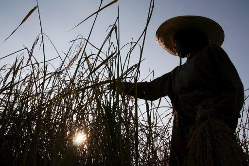 泰國國內需求有待拉升 通貨膨脹率才能增加 (圖:AFP)