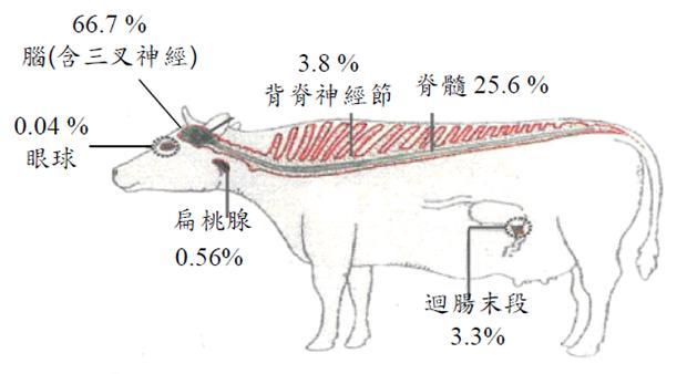 牛體中感染BSE 致病因子的分佈(日本厚生省，2005)