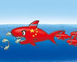 图片说明