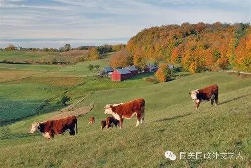 4競逐國際氣候治理領導權