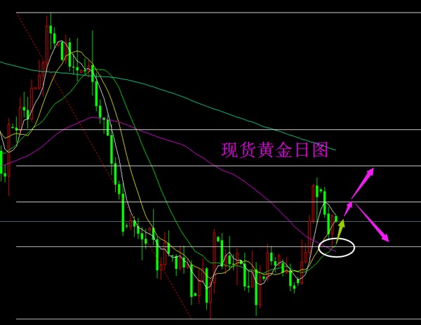 現貨黃金：日圖