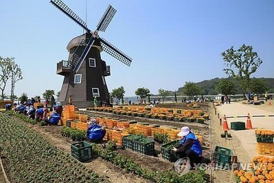 順天灣庭園博覽重新粉飾迎夏日