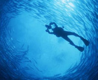 (圖片來源：馬來西亞觀光局官網)