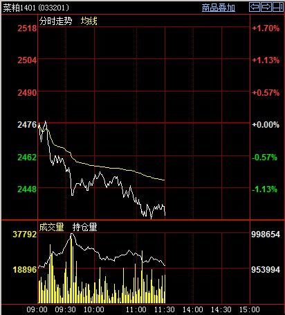 菜粨主力今日走勢